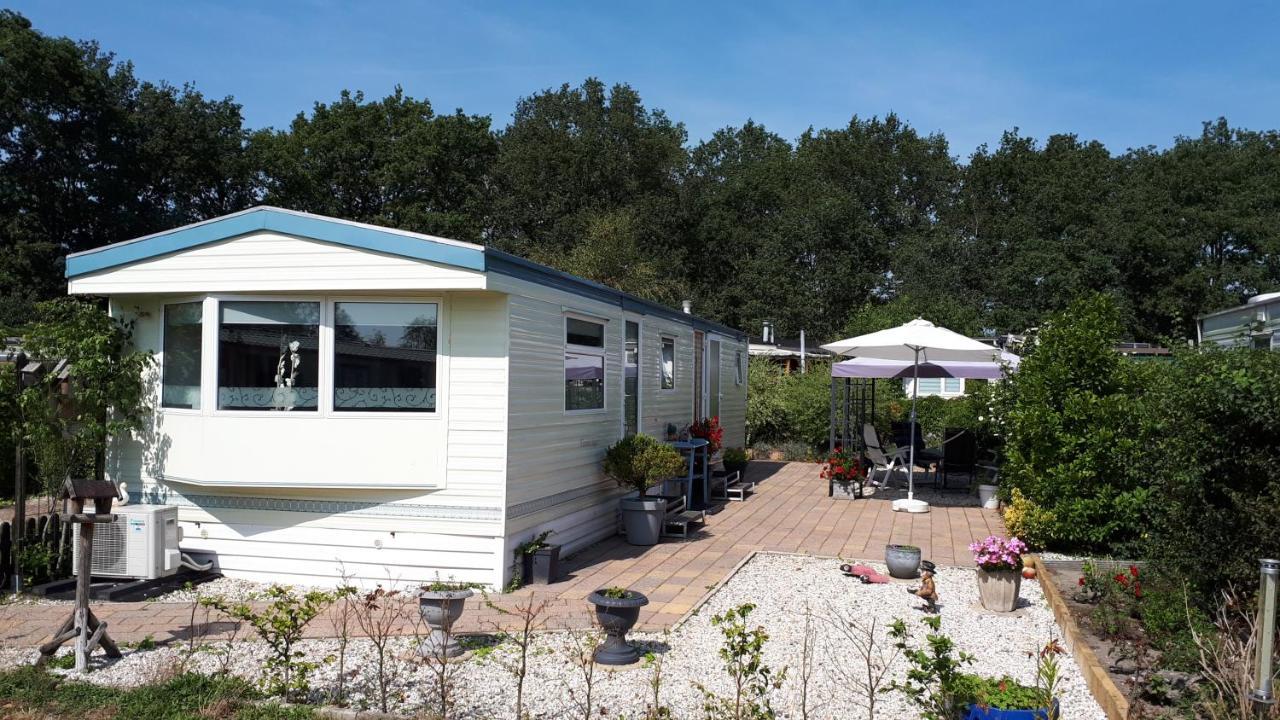 Comfortabel 4-Persoons Chalet Paasloo Dış mekan fotoğraf